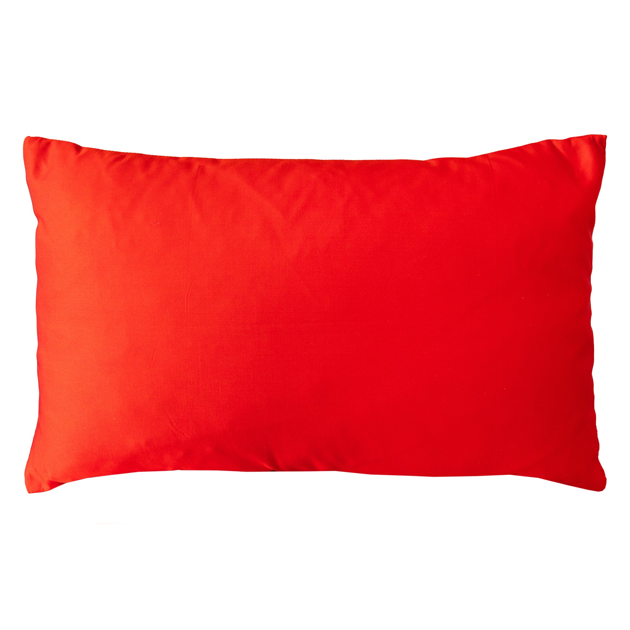 Reverse of the 1930s vintage silk cushion is bright red silk. Rectangular shape on a white background.