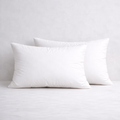 Pair of 14 x 20 inch rectangular cushion inserts, set of two, on a plae neutral background, soft and plump finish.